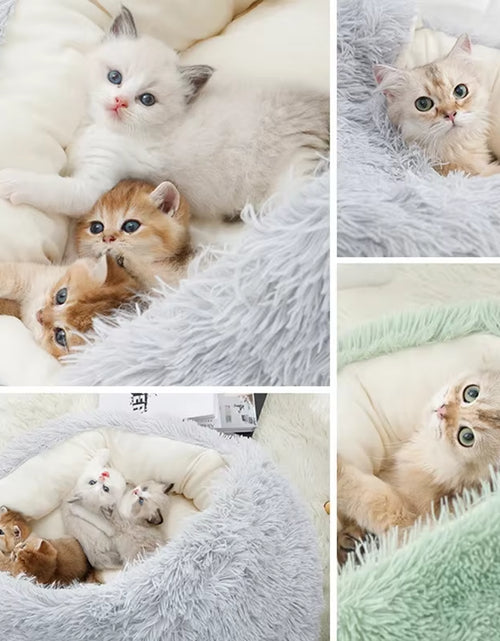 Load image into Gallery viewer, Winter Plush Pet Cat Bed round Cat Cushion Cat House 2 in 1 Warm Cats Basket Pet Sleep Bag Kitten Nest Kennel for Small Dog Cats
