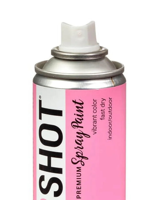 Load image into Gallery viewer, Premium Multi-Surface Gloss Farmers Daughter Spray Paint - 10 Oz - Pink
